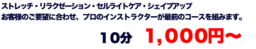 ストレッチ・リラクゼーション・セルライトケア・シェイプアップ　お客様のご要望に合わせ、プロのインストラクターが最前のコースを組みます。　１０分　１,０００円～